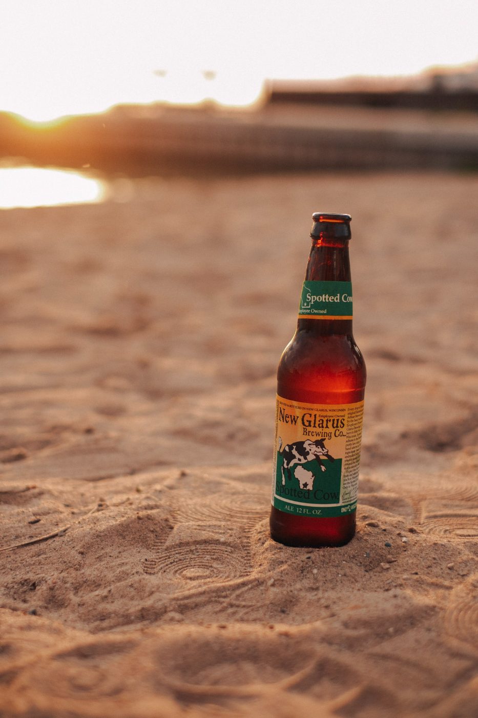 Spotted Cow on the beach