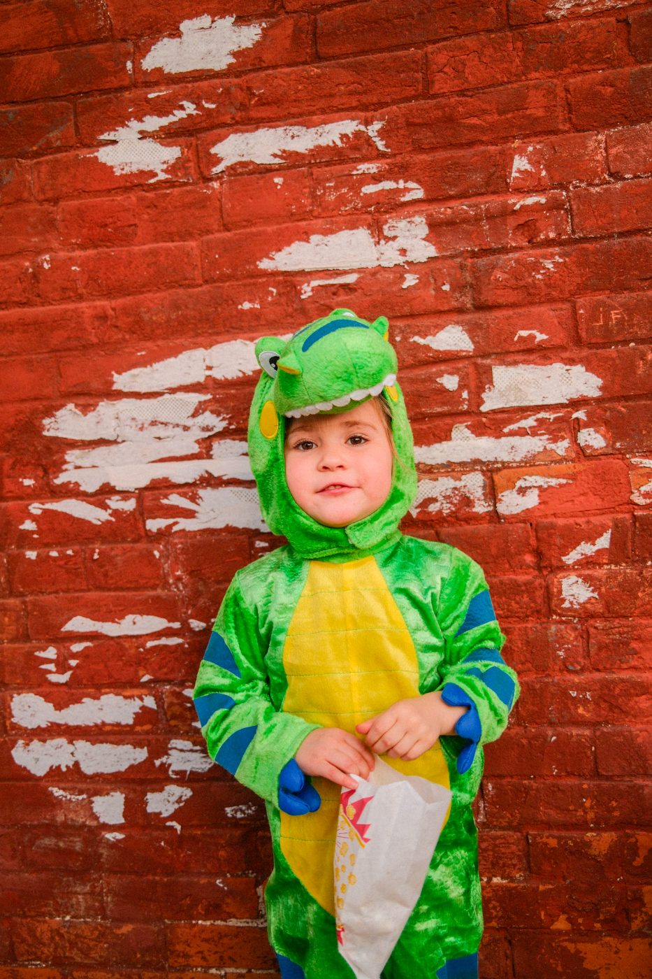 Little dinosaur
